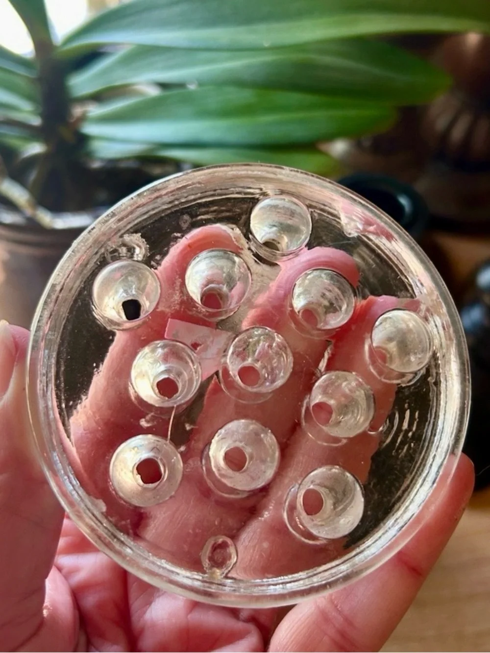 Clear Glass Flower Frog Vase Insert 11 Holes